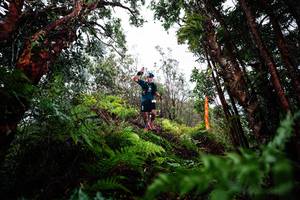 BIB: 
                            <button type="button" onclick="openModal(26204514)" class="btn btn-primary btn-sm float-right btn-popup" data-toggle="modal" data-target=".modal-high-quality">
                        <i class="fas fa-shopping-cart"></i> Add to Cart
                    </button>
                                            <button type="button" onclick="isThisMe(26204514, true)" class="btn btn-success btn-sm float-right btn-popup btn-isme hidden" data-toggle="tooltip" data-placement="bottom" title="นี่คือรูปของคุณใช่ไหม คลิกที่นี่เพื่อเอาเข้าอัลบั้ม">
                        <i class="fas fa-plus"></i> Add to album
                    </button>
                    <button type="button" onclick="isThisMe(26204514, false)" class="btn btn-warning btn-sm float-right btn-popup btn-isnotme hidden">
                        <i class="fas fa-ban"></i> Remove from album
                    </button>